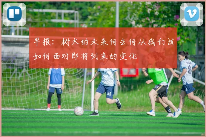 早报：树木的未来何去何从我们该如何面对即将到来的变化